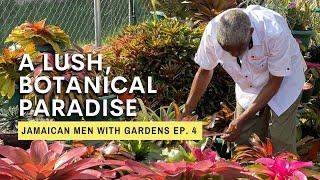 An Exquisite Garden with Award Winning Plants  Jamaican Men With Gardens Ep. 4