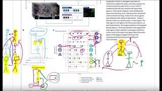 AlphaStar Grandmaster level in StarCraft II using multi-agent reinforcement learning