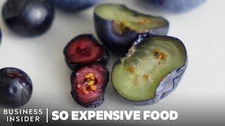 Why Nordic Wild Blueberries Are So Expensive  So Expensive Food  Business Insider