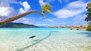 Island Paradise 3 Hours of French Polynesia Ambience From Relaxing Tahaa