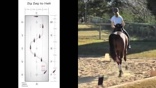 Eventer Exercise 2 - Zig Zag to Halt preview