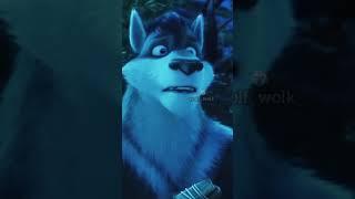 Wolf wolk BORILAR  tik tok video #RIZOBEKSTUDIO