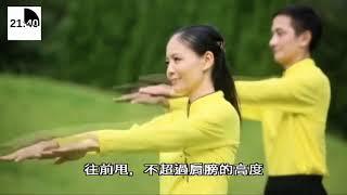 Ping Shuai Gong Chinese 李鳳山師父的平甩功 NoBreak WithTimer By WanCen