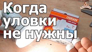 Объясняю почему OSRAM GX53 выгодная и качественная светодиодная лампа для натяжного потолка