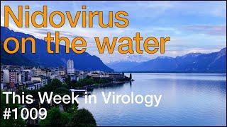 TWiV 1009 Nidovirus on the water