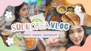 SÜDKOREA VLOG HOTPOT ESSEN GEHEN SHOPPEN IN GANGNAM EXPLOREN