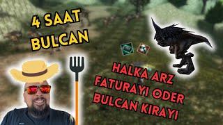 MORADON BULCAN  4 SAAT GENIE FARM