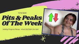 Pits and Peaks  Struggles and Highlights  Weight Loss Journey  Laura Dryden