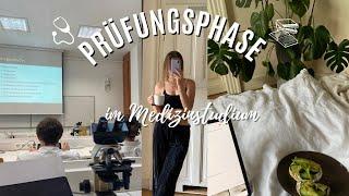 Physikumsprüfung im Medizinstudium what I eat bib days lernen Sport … II Marieke Emilia