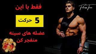 تمرین های حجیم سازی عضلات سینه فقط با دمبل dumbbell only chest workout