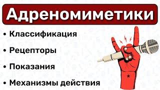 Адреномиметики классификация механизмы действия  Фармакология