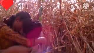 Jungle mein hi sab kuch kar liya hot girl kissing  video 