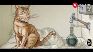 【未解之谜】什么是“薛定谔的猫”？为什么那只猫即是死的又是活的？