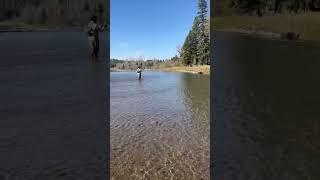 Fall dry fly fishing in Montana