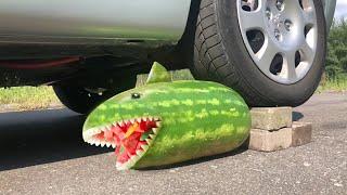 Giant Watermelon Colgate Water filled bubble Squeezkins ball and more   CloseUp Experiment