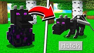 How to HATCH the ENDER DRAGON EGG in Minecraft Tutorial