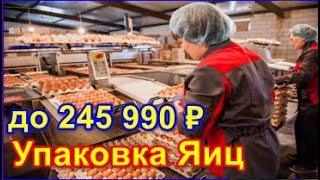 РАБОТА В МОСКВЕ - ВАХТОВЫЙ МЕТОД УПАКОВЩИК ЯЙЦ С ПРОЖИВАНИЕМ И ПИТАНИЕ СВЕЖИЕ ВАКАНСИЙ