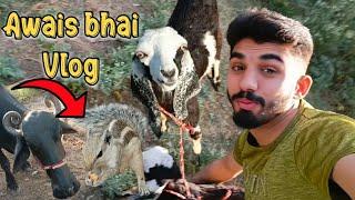 Awais bhai Vlog 