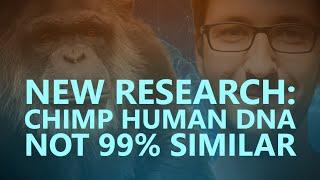 New research Chimp Human DNA not 99% similar