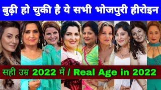 जानिए सभी भोजपुरी हीरोइन की सही उम्र 2022 में  All Bhojpuri Actress Real Age In 2022  बुढ़ी हो गई