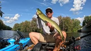 Pushaw Stream Pike Catches - Kayak fishing