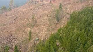 steep slope logging