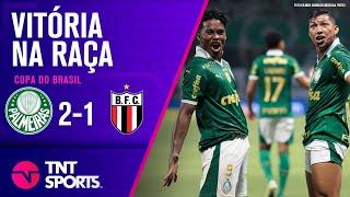 PALMEIRAS VENCE NO ÚLTIMO LANCE E LEVA VANTAGEM  PALMEIRAS 2X1 BOTAFOGO-SP