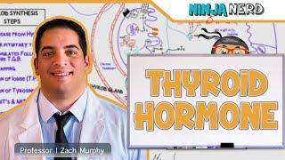 Endocrinology  Synthesis of Thyroid Hormone