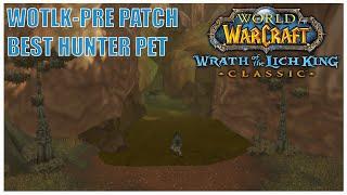 WOTLK PRE-PATCH BEST HUNTER PET