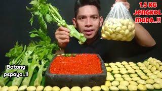 MUKBANG 1.5KG JENGKOL MENTAHLALAP BATANG PEPAYATANPA NASI