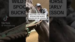 10+ minutes of horse riding fails