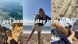 smoothie recipe and another little day in Malibu