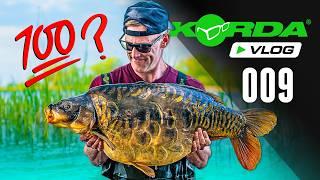 Darrell Peck chases his 100th UK 40lb CARP  Korda Vlog #009