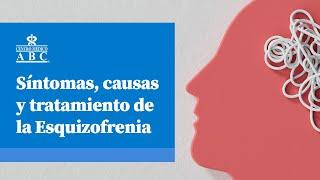 Síntomas causas y tratamiento de la esquizofrenia