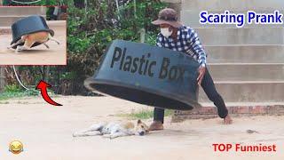 Wow  Scaring Prank Big Plastic Box vs Sleeping Dog  Top Funniest Prank in 2021