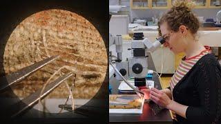 Microscopically reweaving a 1907 painting  CONSERVATION STORIES