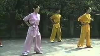 wushu basic training English