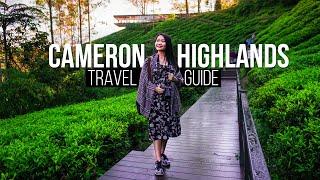 CAMERON HIGHLANDS  Complete Travel Guide   Travel Malaysia