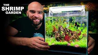 The Shrimp Garden ALL in ONE Kit Aquarium