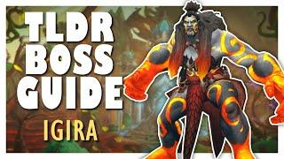 TLDR IGIRA Normal  Heroic Boss Guide  Amirdrassil WoW 10.2 Guide