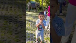 Vlog liburan agra naik gajah takut jatuh Part 2250 sibocil