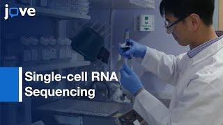 Single-cell RNA Sequencing and Analysis  Protocol Preview
