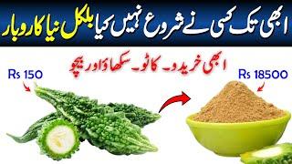 Make Money from Home with No Money  Watermelon & Bitter Gourd Powder with Juicer Machine