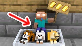 Baby Herobrine and Dog - Sad Story - Minecraft Animation