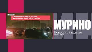 Итоги недели 09.12.2018 п. Мурино