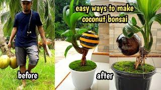 CARA MEMBUAT BONSAI KELAPA ⁉️ How to make a coconut bonsai