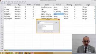 SPSS Programına Veri Girişi