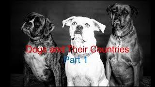 Dogs and Their Countries Part1