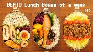 【Husband lunch boxes】Pickled plum Chicken cutlets  Grilled salmon  Taco rice