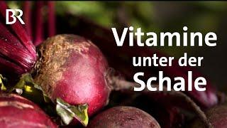 Rote Bete Heimische Superfood-Knolle  Ernährung  Gemüse  BR